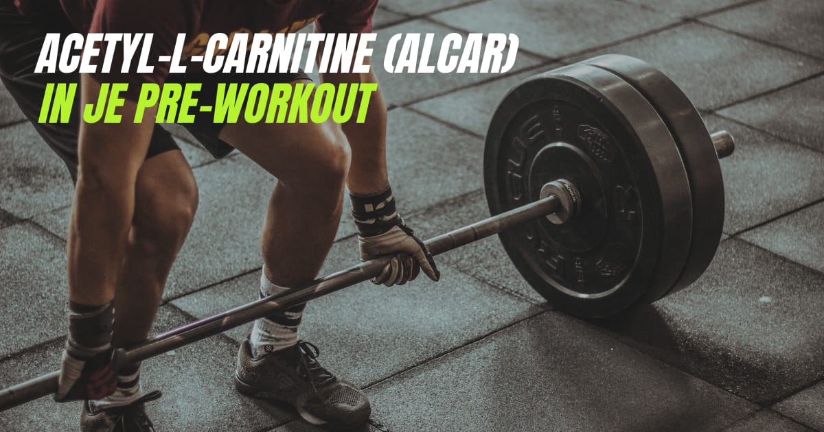 Acetyl L Carnitine ALCAR in je pre workout